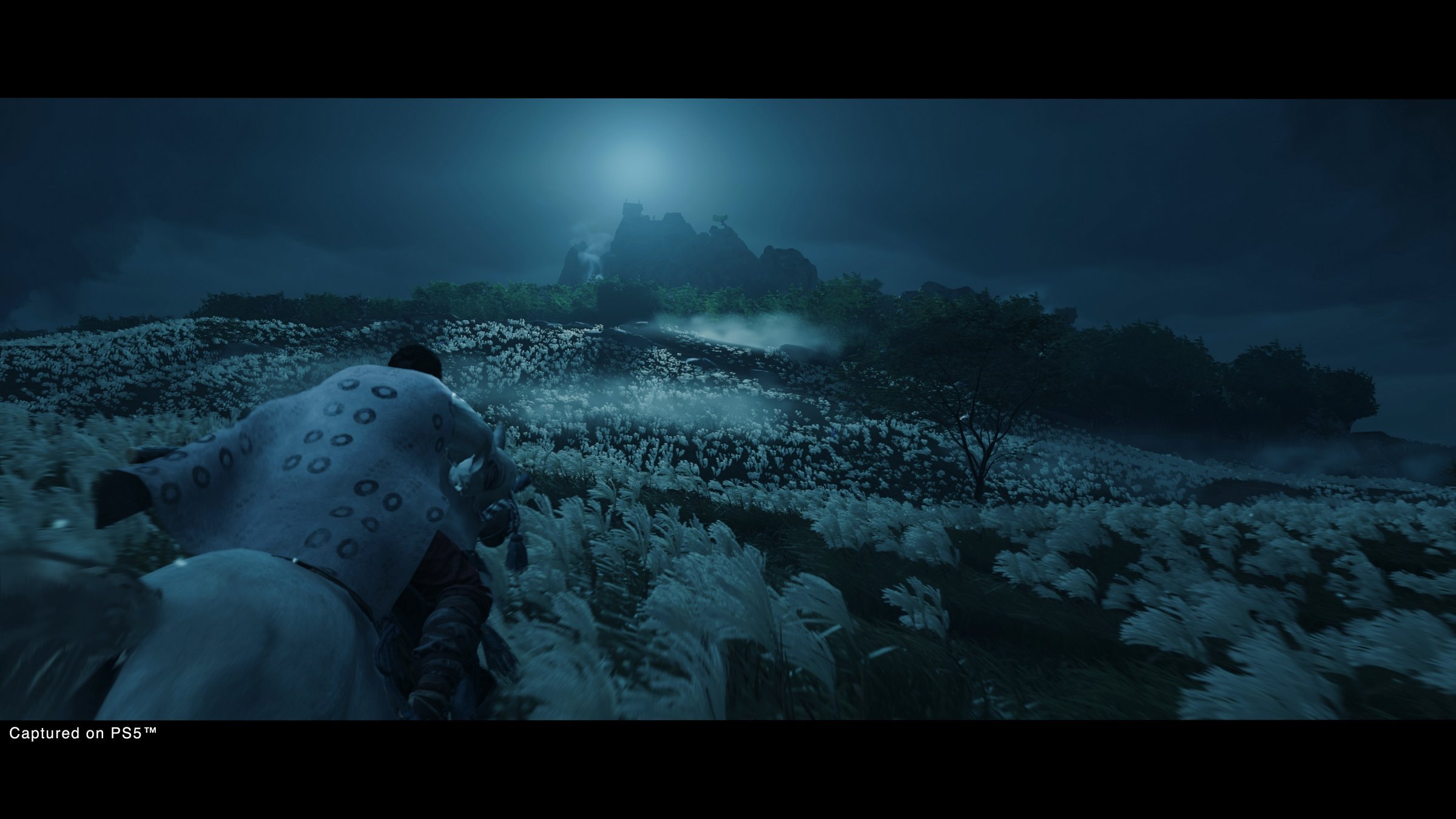Ghost of Tsushima: Director´s Cut - Imagen 34
